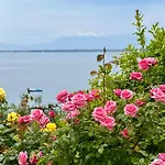 Maistrali Γερακινή