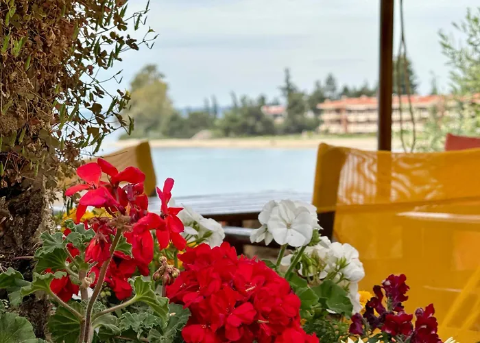 Hotel apartamentowy Maistrali 3*