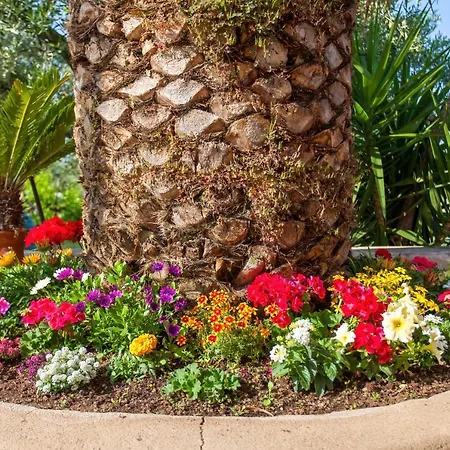 Maistrali 3* Jerakiní