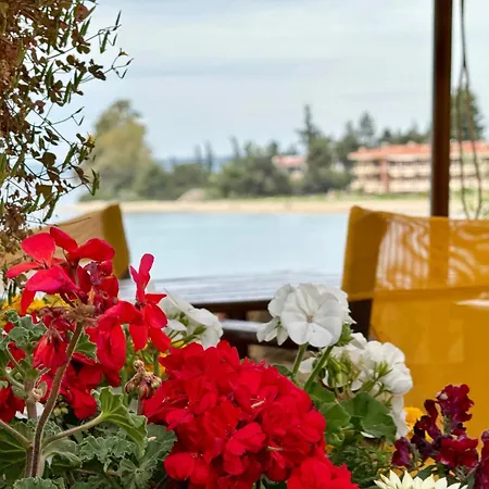 Aparthotel Maistrali 3*
