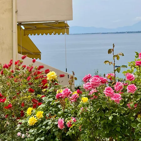 Maistrali 3* Jerakiní