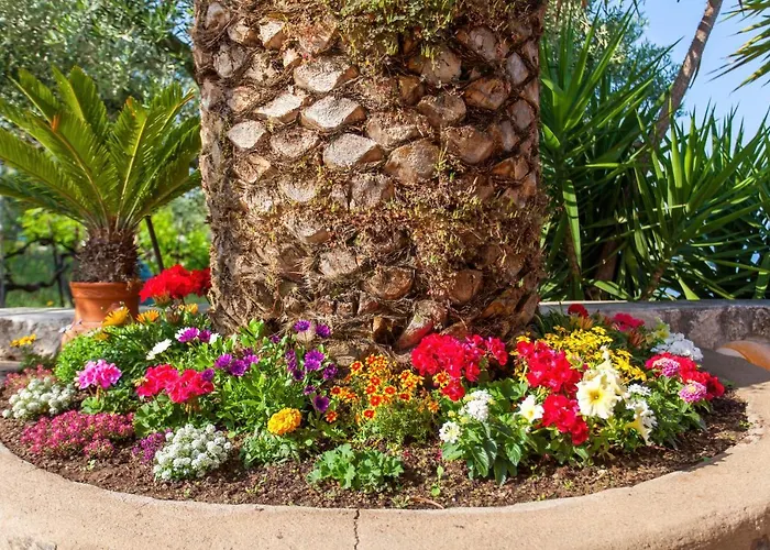 Maistrali 3* Gerakini