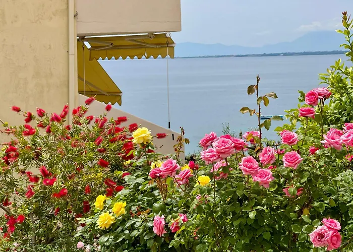 Maistrali 3* Gerakini